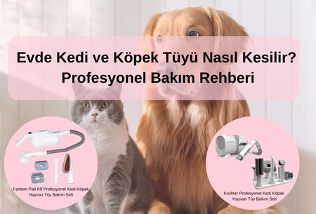 Evde Kedi ve Köpek Tüyü Nasıl Kesilir? Profesyonel Bakım Rehberi
